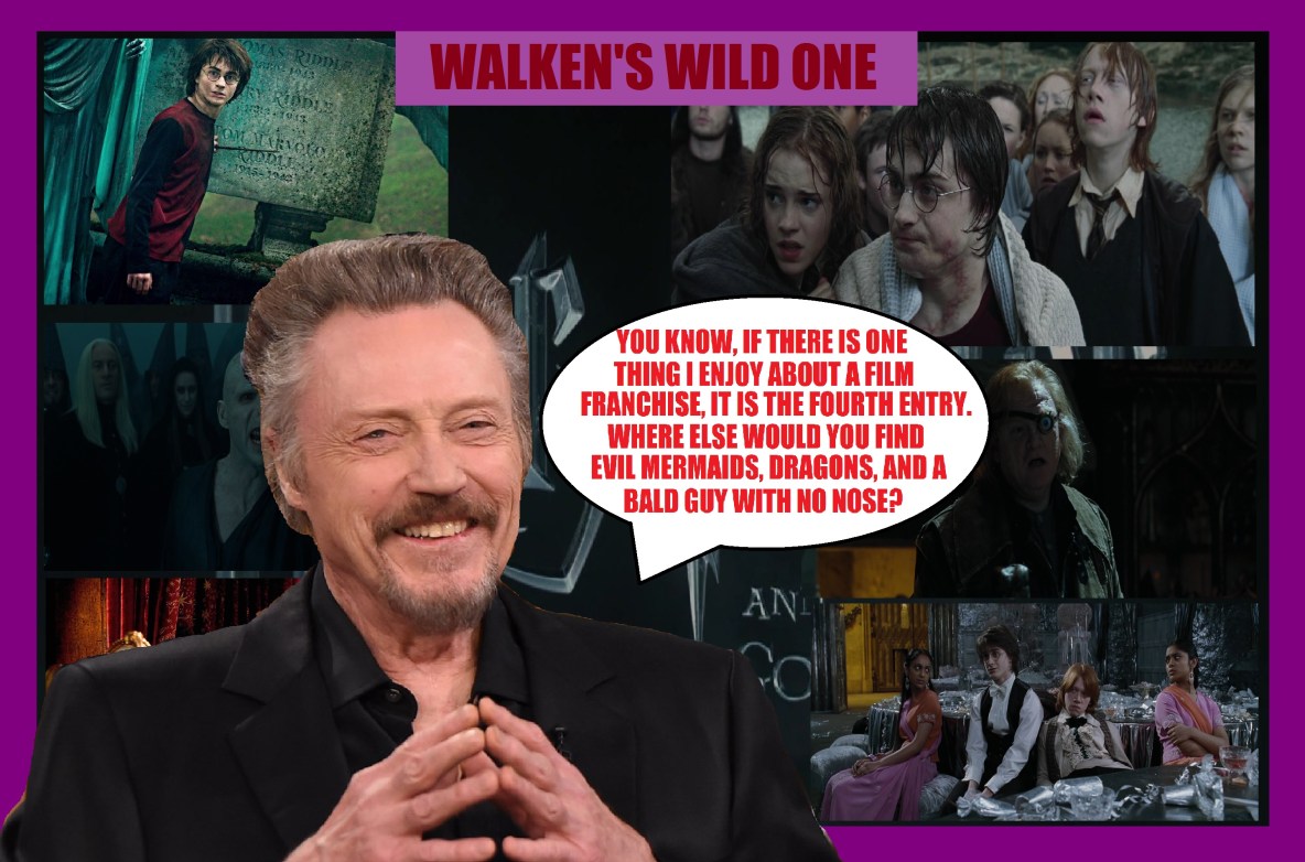 walkens-wild-one-winner-3